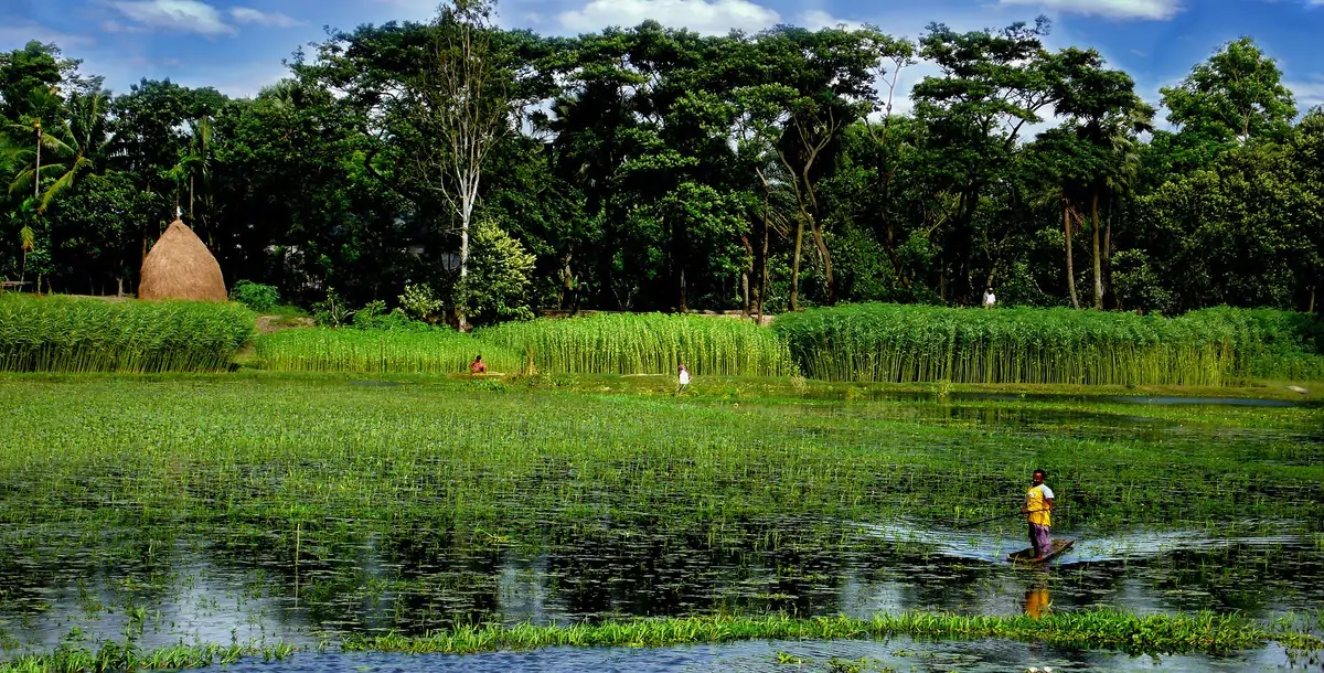 bangladesh-nature